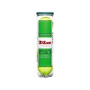  PIŁKI TENISOWE WILSON STARTER GREEN 4 SZT